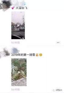 终于等到你，我的雪花